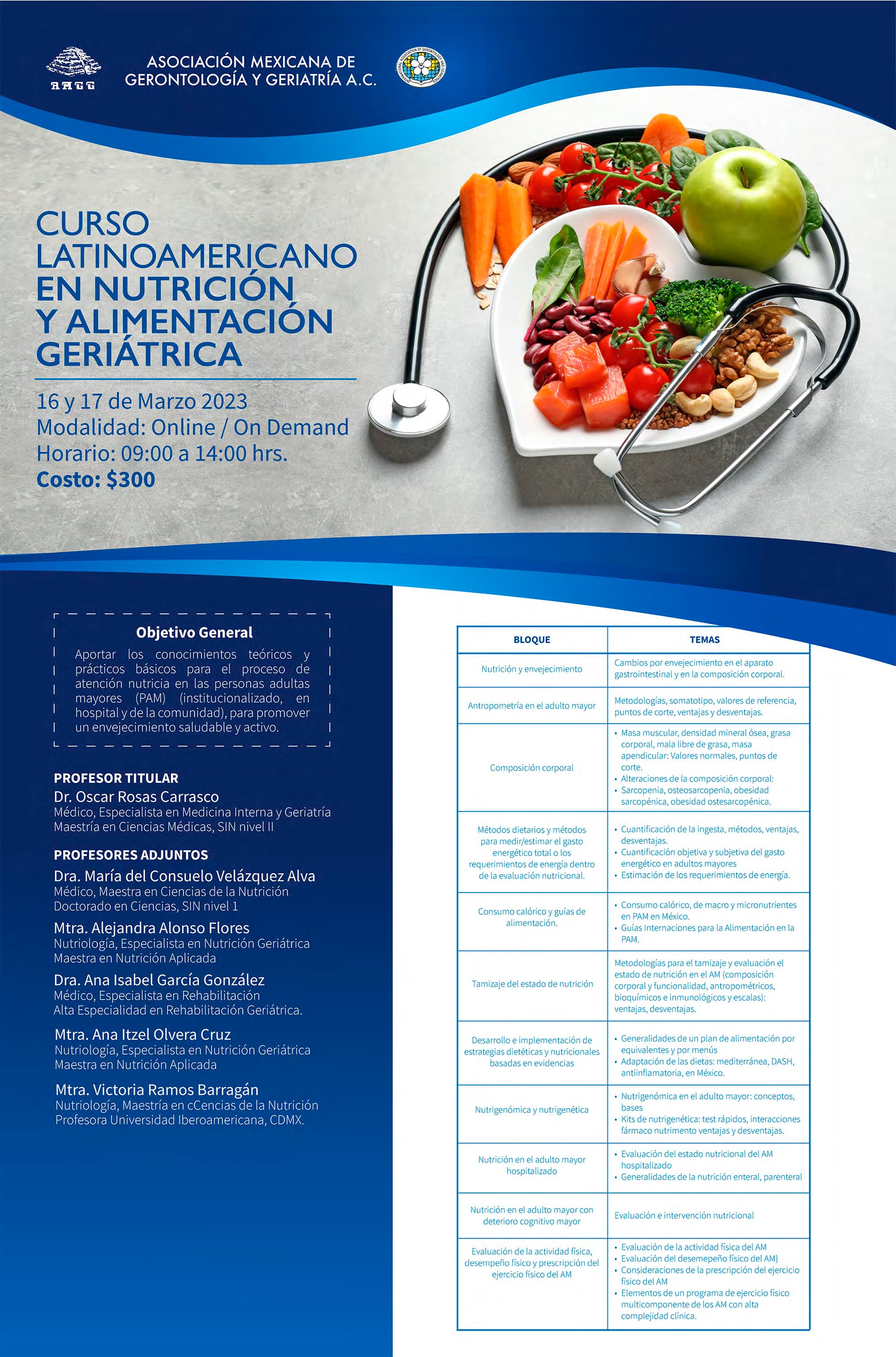 Curso Latinoamericano en Nutrición y Alimentación Geriátrica